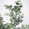 Eucalypytus Spray