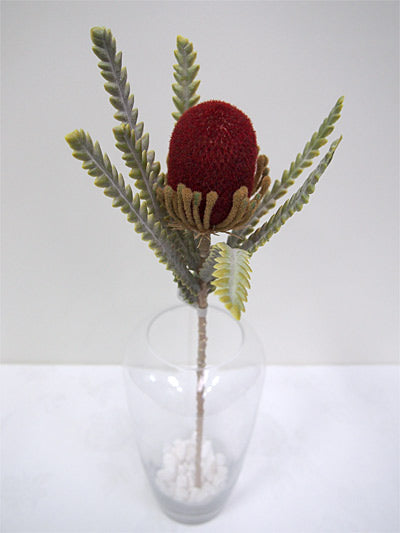 Banksia 22" Burgundy