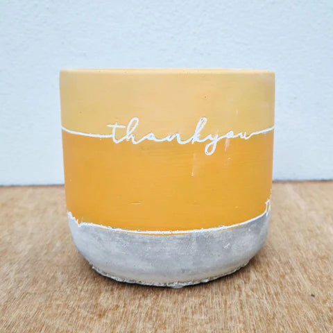 Thank You Planter Yellow 12cm