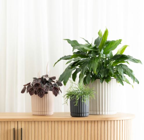 Athens Planter Small White