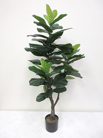 Fiddle leaf tree, 138cm