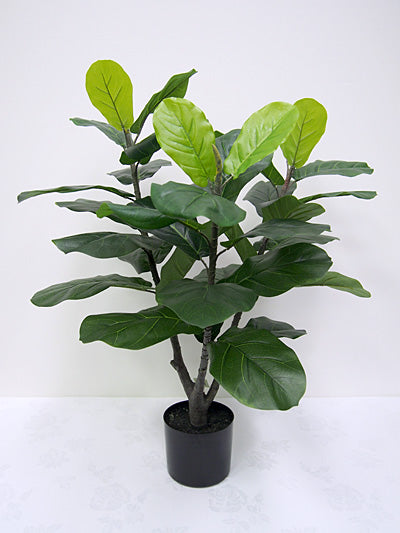 Fiddle leaf tree, 88cm