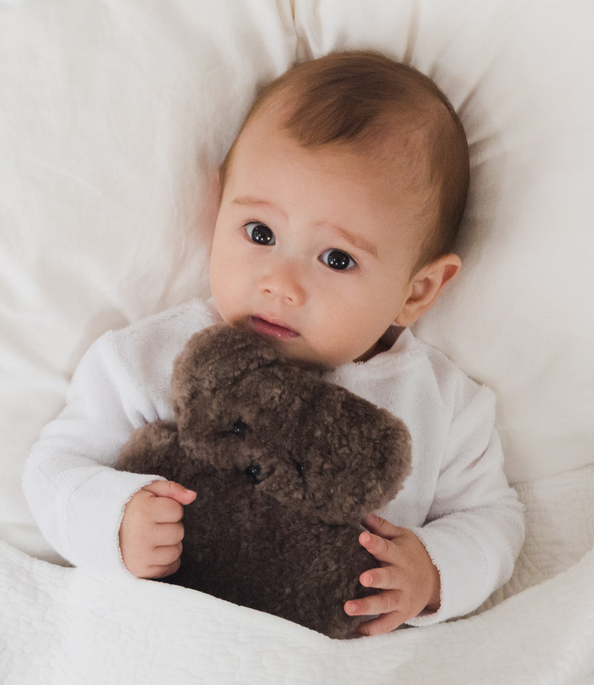 Flatout Baby Bear