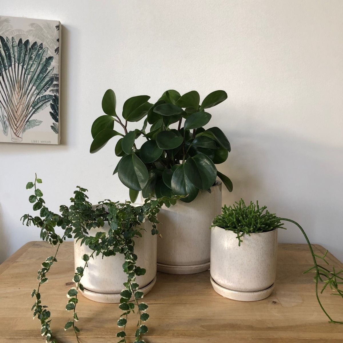 Oslo Planter Medium Sandstorm