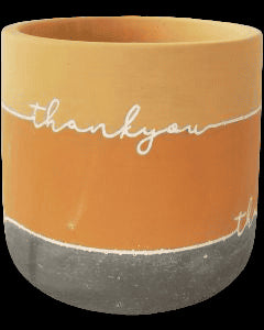 Thank You Planter Yellow 12cm