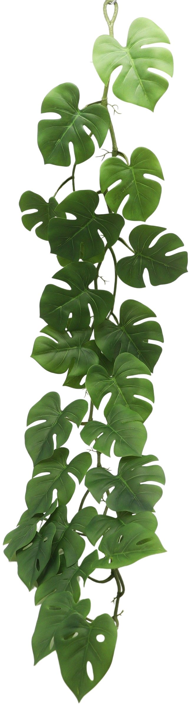 Monstera Vine 117cm