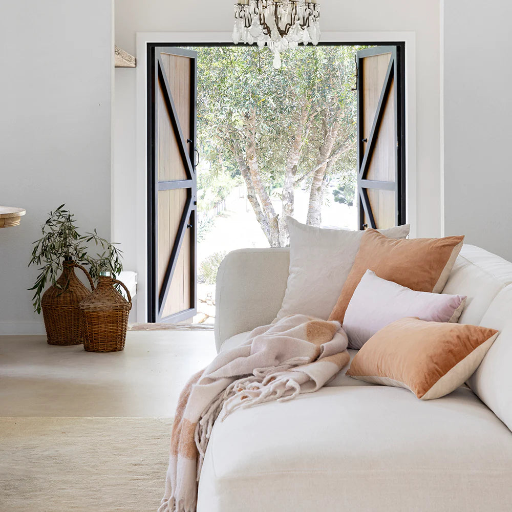 Velvet Cushion