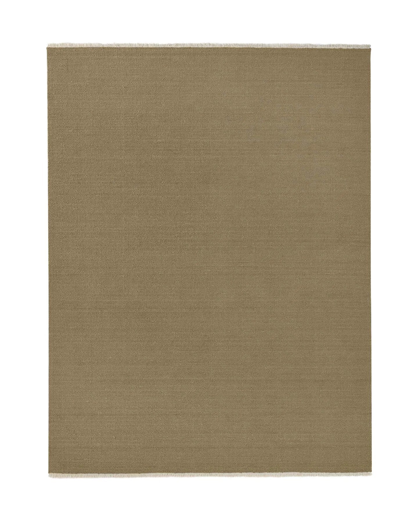 Fabien Rug | Nomad