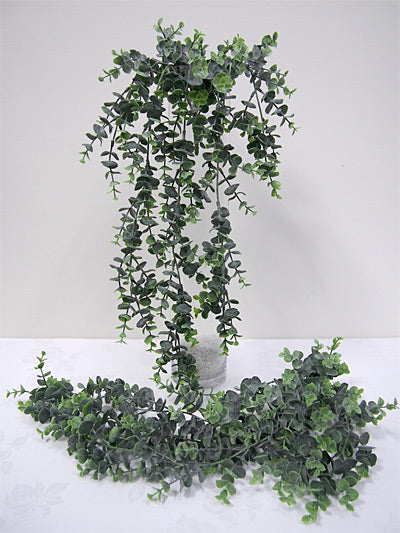 Eucalyptus Hanging Bush 74cm