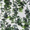 Eucalyptus Hanging Bush 74cm