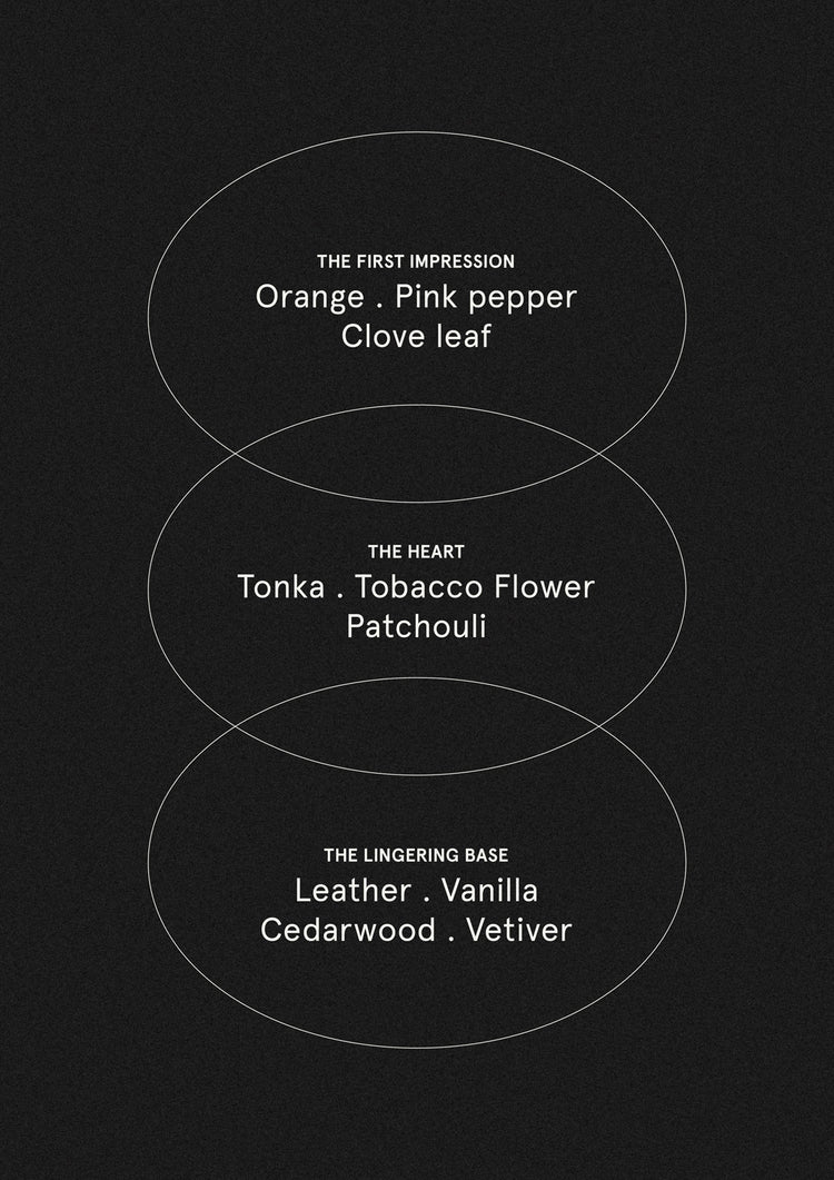 Smith & Co. - Hand & Body Wash Tabac & Cedarwood