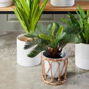 Wembeley White & Rattan Planter Lge