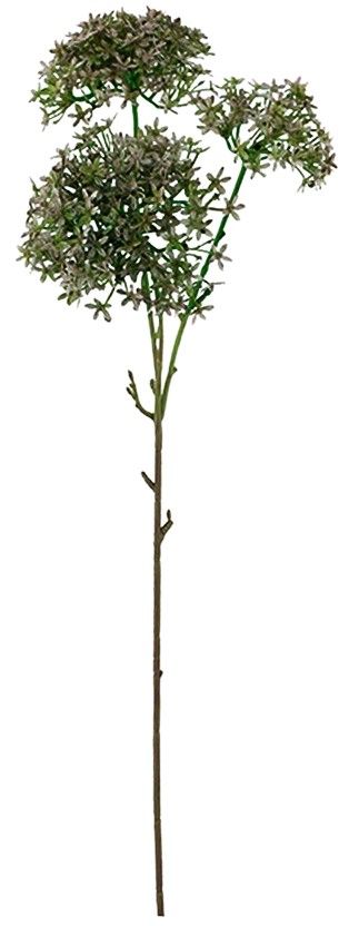 Star Flower Stem 76cm